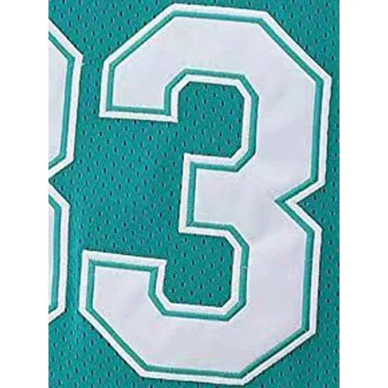 Custom Men's Flint Tropics Basketball Jersey, Personalized Embroidery Name and Number Sleeveless Uniform DIY Basketball Shirt